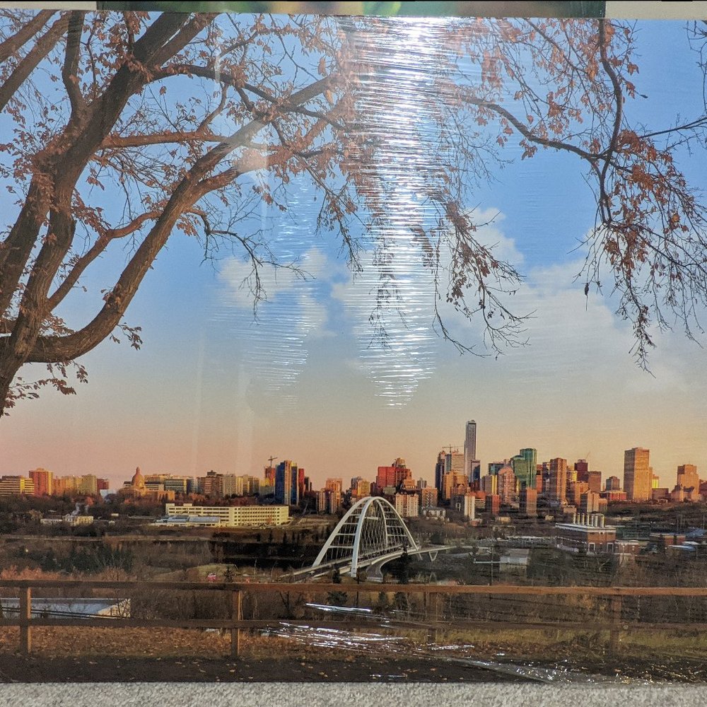 Brand New Framed Canvas prints